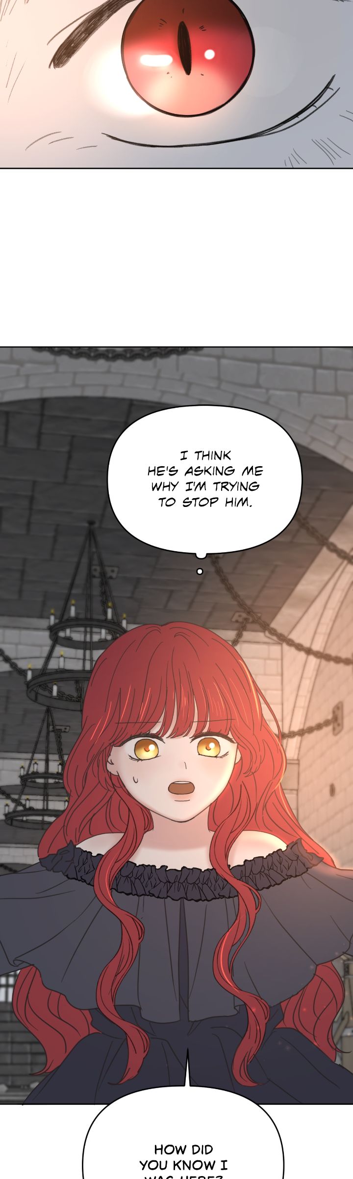 65764516 720 2400 155914